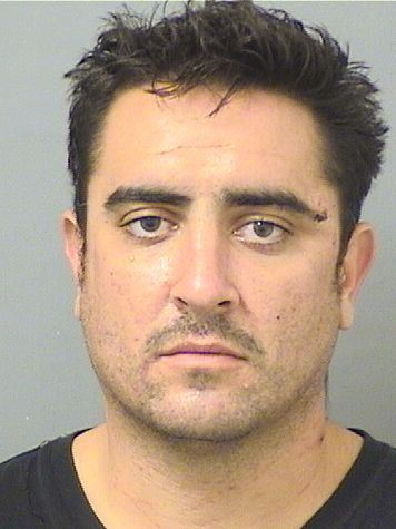  VINCENT MICHAEL PECK Results from Palm Beach County Florida for  VINCENT MICHAEL PECK