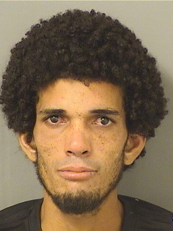  CHRISTIAN HILLARO Results from Palm Beach County Florida for  CHRISTIAN HILLARO