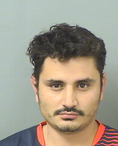  LUIS DIEGO WILLIAMS Results from Palm Beach County Florida for  LUIS DIEGO WILLIAMS