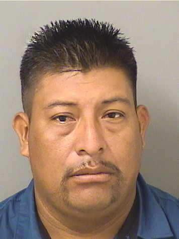  JUAN CARLOS RAYMUNDO HERNANDEZ Results from Palm Beach County Florida for  JUAN CARLOS RAYMUNDO HERNANDEZ