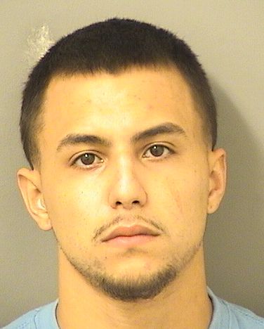  ALEXANDER RUBEN PERRONE Results from Palm Beach County Florida for  ALEXANDER RUBEN PERRONE