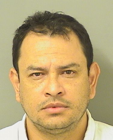  ROTHMAN MOISES ZAVALA LAINEZ Results from Palm Beach County Florida for  ROTHMAN MOISES ZAVALA LAINEZ