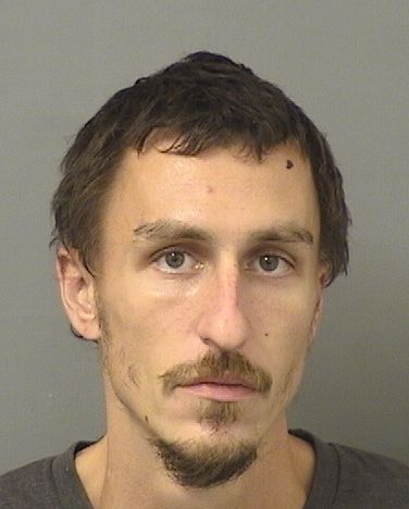  JUSTIN ALEXANDER NICHOLAS Results from Palm Beach County Florida for  JUSTIN ALEXANDER NICHOLAS