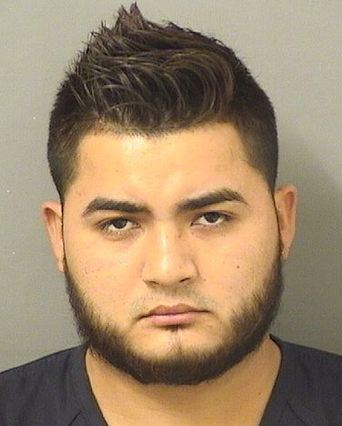  JOSE ANTONIO CASTILLO RODRIGUEZ Results from Palm Beach County Florida for  JOSE ANTONIO CASTILLO RODRIGUEZ