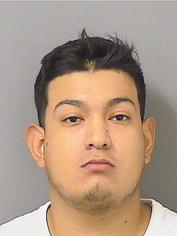  DENILSON  ALFARO Results from Palm Beach County Florida for  DENILSON  ALFARO