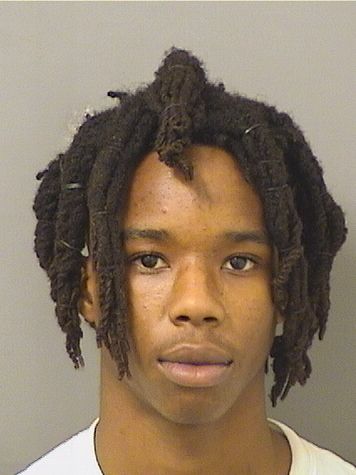  ALANI BERNARD NEWMAN Results from Palm Beach County Florida for  ALANI BERNARD NEWMAN