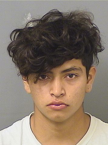  CHRISTIAN PORTILLO Results from Palm Beach County Florida for  CHRISTIAN PORTILLO