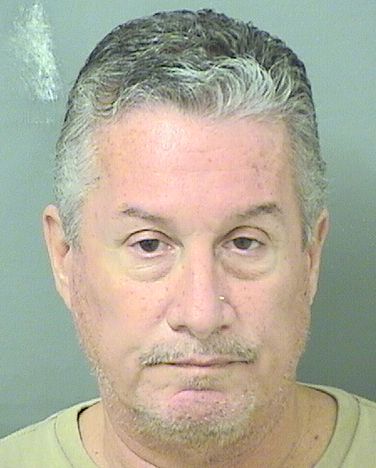  JOSHUA NEAL LEVINE Results from Palm Beach County Florida for  JOSHUA NEAL LEVINE