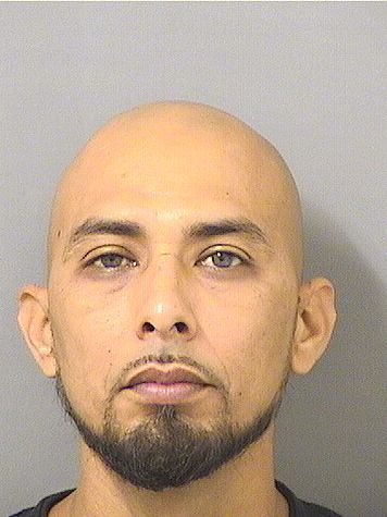 JORGE MARTINEZ Results from Palm Beach County Florida for JORGE MARTINEZ JORGE MARTINEZ Results from Palm Beach County Florida for JORGE MARTINEZ