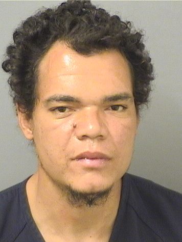  TRAVIS ODELL BULLOCK Results from Palm Beach County Florida for  TRAVIS ODELL BULLOCK