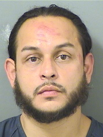  LUIS ARNOLDO RAMIREZ Results from Palm Beach County Florida for  LUIS ARNOLDO RAMIREZ