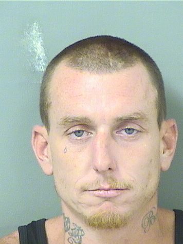  SEAN MICHAEL MCARTHY Results from Palm Beach County Florida for  SEAN MICHAEL MCARTHY