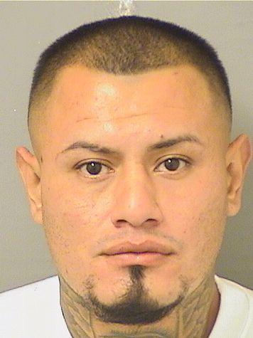  CESAR E JAMES Resultados de la busqueda para Palm Beach County Florida para  CESAR E JAMES