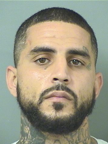  JOSEPH M DAMICO Photo For  JOSEPH M DAMICO