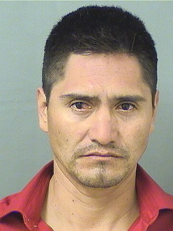  ERICK A HERNANDEZ PEREZ Results from Palm Beach County Florida for  ERICK A HERNANDEZ PEREZ