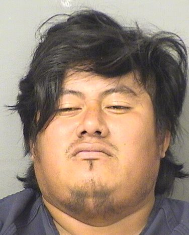  HUGO MORALES Results from Palm Beach County Florida for  HUGO MORALES