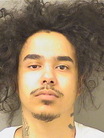  TRISTEN J PENA Results from Palm Beach County Florida for  TRISTEN J PENA