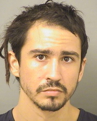  JULIAN ALEXANDER ALFARO Results from Palm Beach County Florida for  JULIAN ALEXANDER ALFARO