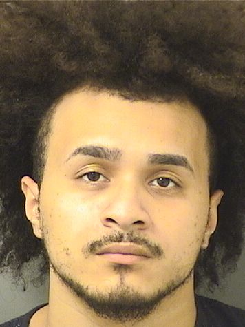  HENRY MARGARO SOTO Results from Palm Beach County Florida for  HENRY MARGARO SOTO