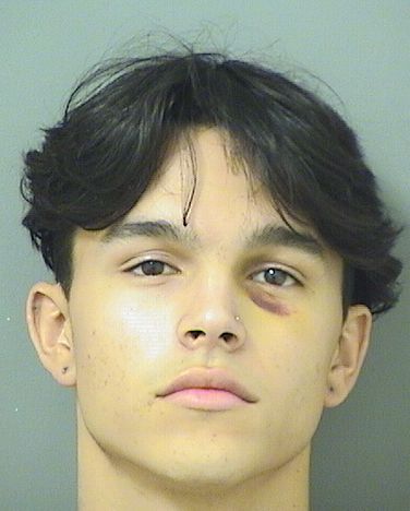  DANIEL E WARNER Results from Palm Beach County Florida for  DANIEL E WARNER