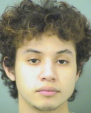  IAN SALAS Results from Palm Beach County Florida for  IAN SALAS