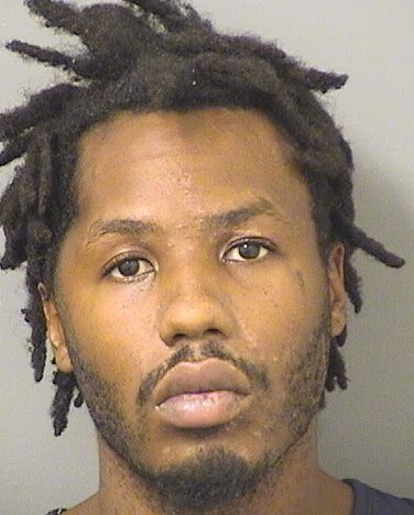  MICHAEL CHRISTOPHER WALKER Resultados de la busqueda para Palm Beach County Florida para  MICHAEL CHRISTOPHER WALKER