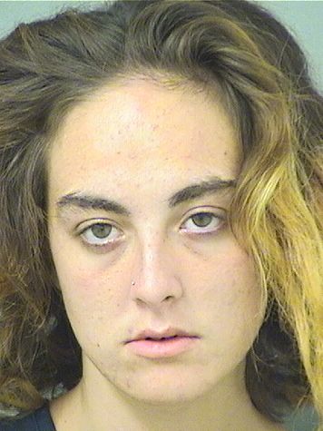  ZOEE TIAN VANMETER Results from Palm Beach County Florida for  ZOEE TIAN VANMETER