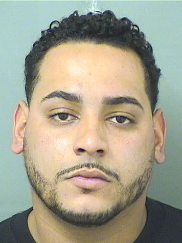  REINALDO CRESPO JR Results from Palm Beach County Florida for  REINALDO CRESPO JR