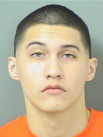  CHRISTOPHER LUIS DELVALLE Results from Palm Beach County Florida for  CHRISTOPHER LUIS DELVALLE