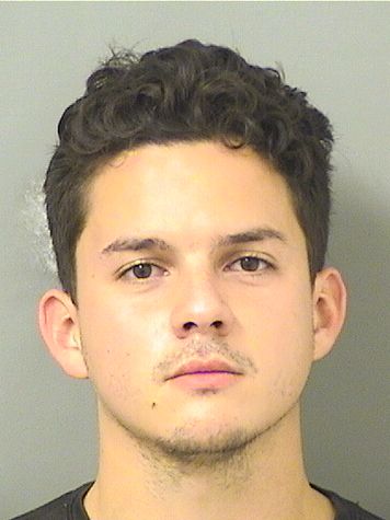  JORGE YOSNIEL MESA Results from Palm Beach County Florida for  JORGE YOSNIEL MESA