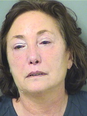  ELIZABETH A SAMIESKE Results from Palm Beach County Florida for  ELIZABETH A SAMIESKE