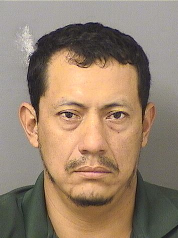  LUIS VIDAL MONTEJO MATEO Photo