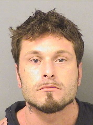  AUSTIN VICTOR MORGAN Resultados de la busqueda para Palm Beach County Florida para  AUSTIN VICTOR MORGAN