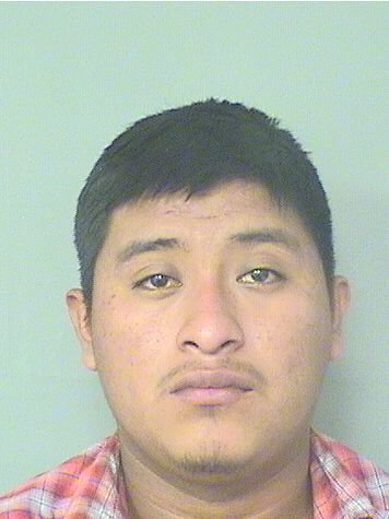  OLVIN O VELASQUEZ CARRILLO Results from Palm Beach County Florida for  OLVIN O VELASQUEZ CARRILLO