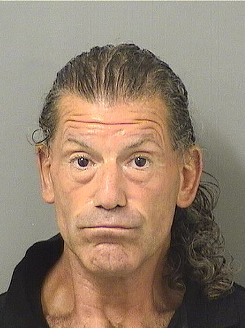  VINCENT BOCCHICCHIO Resultados de la busqueda para Palm Beach County Florida para  VINCENT BOCCHICCHIO