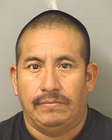  ALFREDO VAZQUEZ Photo For  ALFREDO VAZQUEZ