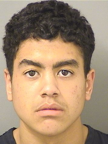  MATTHEW JOSEPH PLACZEK Resultados de la busqueda para Palm Beach County Florida para  MATTHEW JOSEPH PLACZEK