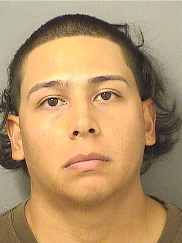  JORGE LUIS CAMARILLO Results from Palm Beach County Florida for  JORGE LUIS CAMARILLO