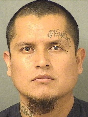  JULIO CEASAR SANCHEZ GATICA Results from Palm Beach County Florida for  JULIO CEASAR SANCHEZ GATICA