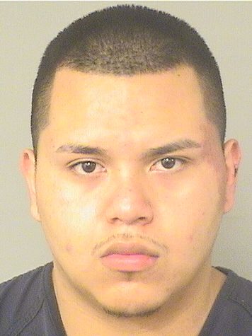  ALFREDO ALEXANDER VASQUEZ Resultados de la busqueda para Palm Beach County Florida para  ALFREDO ALEXANDER VASQUEZ