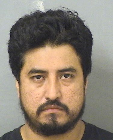  ROSAEL RUBELSE MENDEZPEREZ Results from Palm Beach County Florida for  ROSAEL RUBELSE MENDEZPEREZ