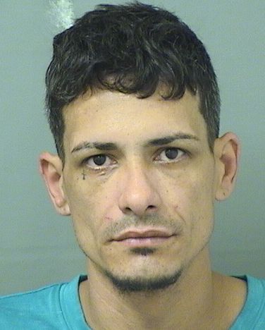  JORGE L APONTE SANTIAGO Results from Palm Beach County Florida for  JORGE L APONTE SANTIAGO