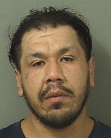  ALEX JUAN HERNANDEZ Results from Palm Beach County Florida for  ALEX JUAN HERNANDEZ