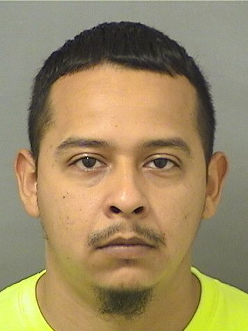  THOMAS CHRISTOPHER CASTILLO Resultados de la busqueda para Palm Beach County Florida para  THOMAS CHRISTOPHER CASTILLO