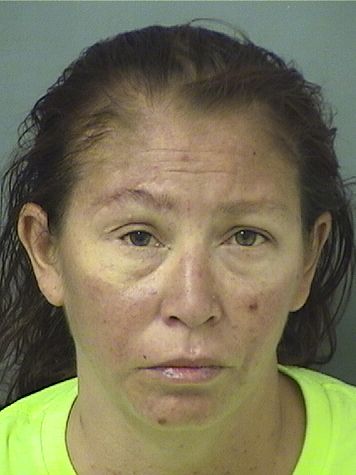  ELENA RITAJON MIRANDA Results from Palm Beach County Florida for  ELENA RITAJON MIRANDA