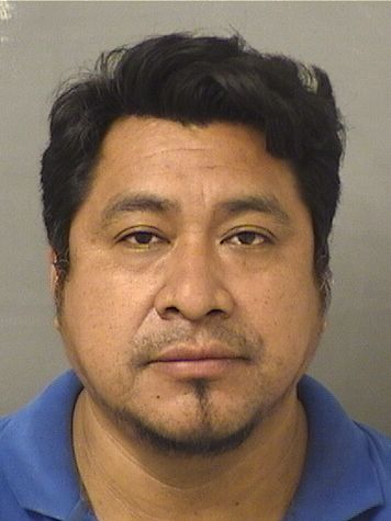  VIRGILIO ANDRESSALES Results from Palm Beach County Florida for  VIRGILIO ANDRESSALES