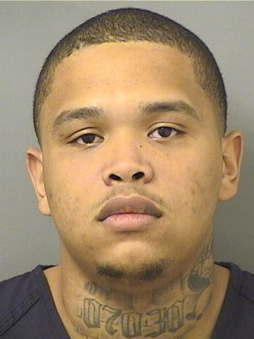  DARNEL J WALKER Results from Palm Beach County Florida for  DARNEL J WALKER