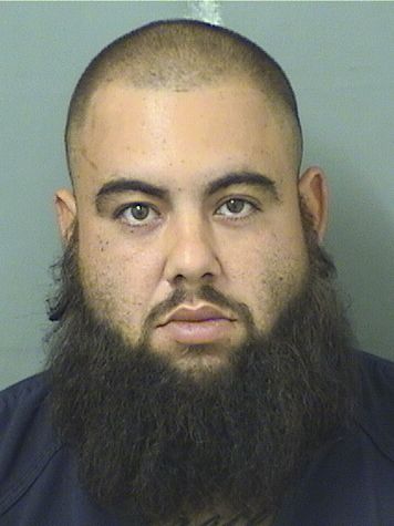  AMADIS HERNANDEZ Results from Palm Beach County Florida for  AMADIS HERNANDEZ