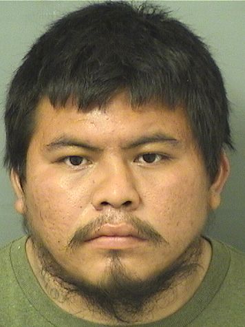  HENREY ANTHONY PASCUALPEDRO Results from Palm Beach County Florida for  HENREY ANTHONY PASCUALPEDRO