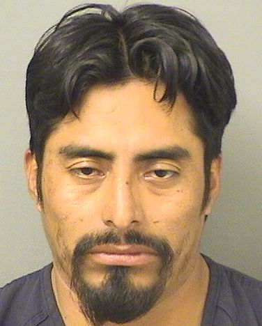 GUSTAVO A SANCHEZ Photos For  GUSTAVO A SANCHEZ  GUSTAVO A SANCHEZ Photo For  GUSTAVO A SANCHEZ